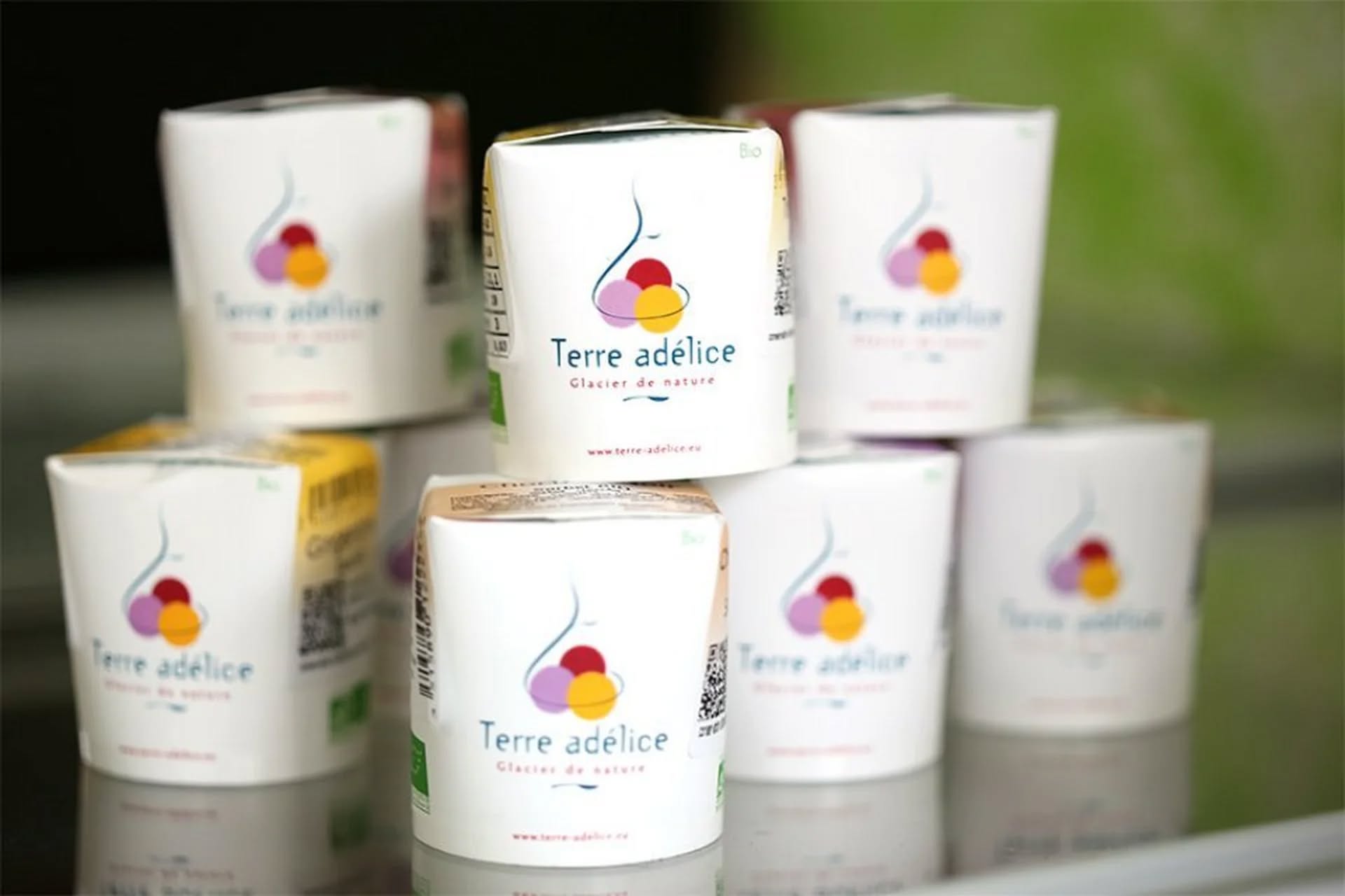 Glaces bio Terre Adélice